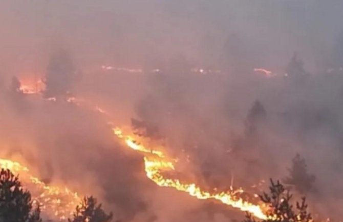 Požar u Pljevljima izmiče kontroli; Vraneš: Sazvaćemo opštinski krizni štab