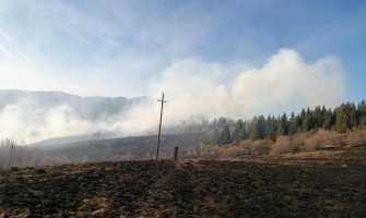  Pljevlja: Požar se sa Čavnja proširio na Crni vrh, vatrogasci branili kuće