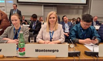 Crnogorska delegacija na OEBS-ovoj konferenciji Alijanse u borbi protiv trgovine ljudima u Beču