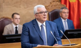 Mandić: Rezolucija dodatno ujedinila srpski narod