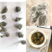 Barska policija od jednog lica zaplijenila 10 pvc pakovanja marihuane