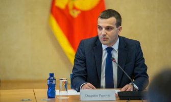 Papović: Rušilački akt prema Crnoj Gori, PES pokazuje da je dio velikosrpskog ideološkog fronta