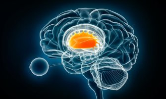 Naučnici pronašli porijeklo mucanja u mozgu