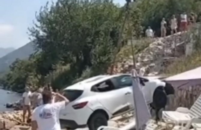 U Kostanjici reno se survao na plažu punu kupača