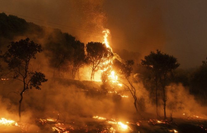 Požari i dalje bukte u Dalmaciji