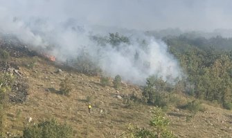 Požar na Paštrovskoj gori pod kontrolom