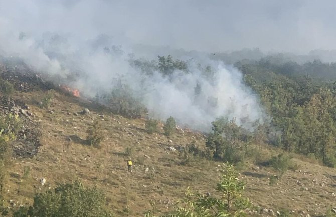 Požar na Paštrovskoj gori pod kontrolom