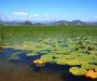 U nezgodi na Skadarskom jezeru dvije osobe povijeđene