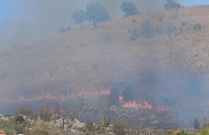 Veliki požar na Dajbabskoj gori: Vatru gase i avioni