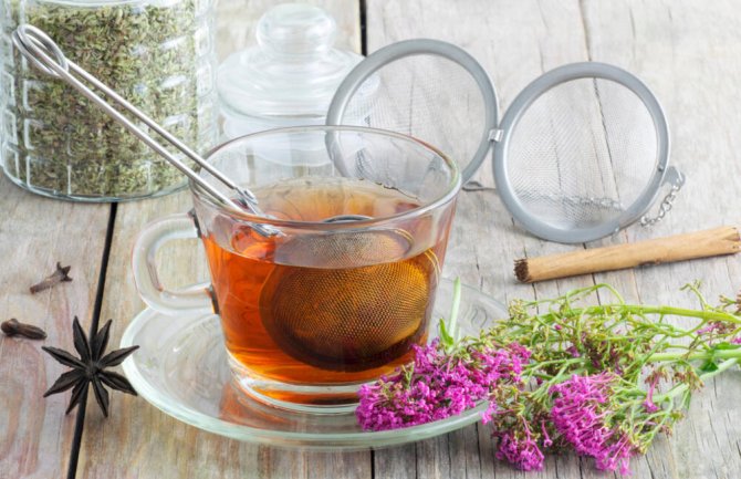 3 moćne biljke za bolji san: Šolja čaja otjeraće nesanicu