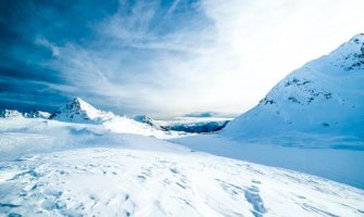 Vojska spasila više od 200 grla stoke na Staroj planini